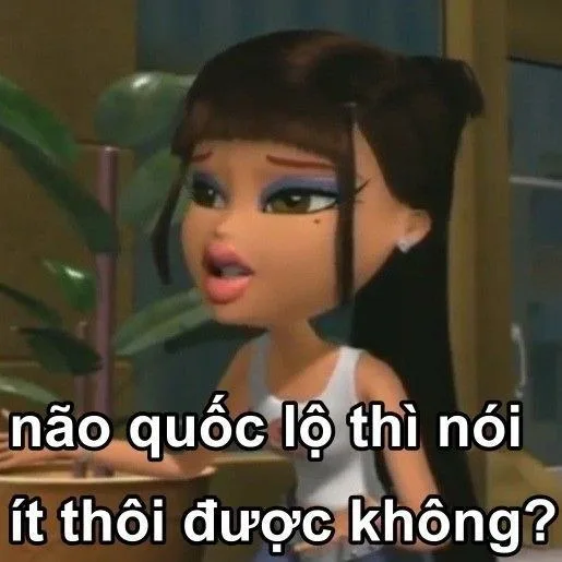 meme chửi người ngu