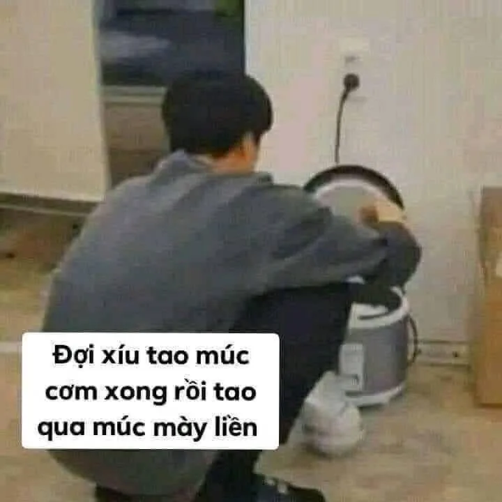 meme chửi nhau