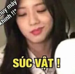 meme chửi nhau
