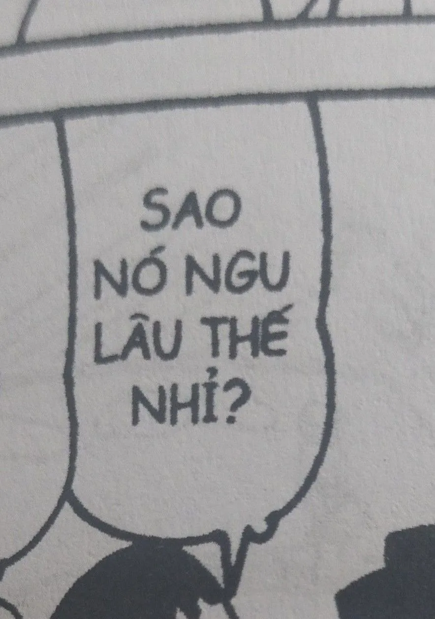 meme chửi người ngu