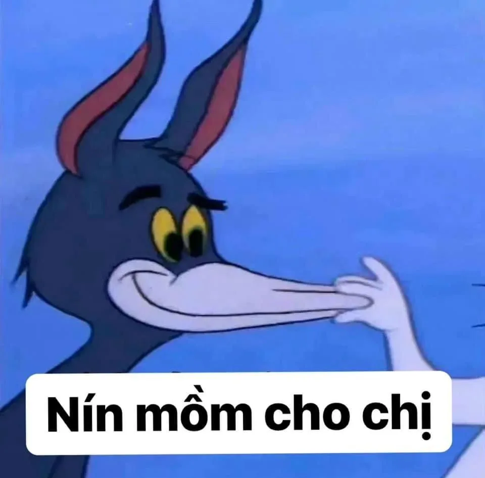 meme chửi nhau
