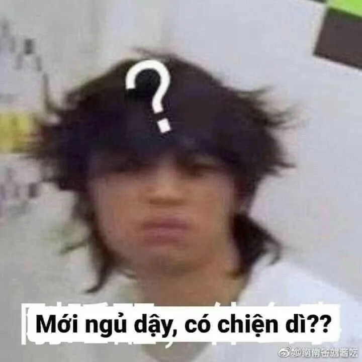 meme chửi nhau