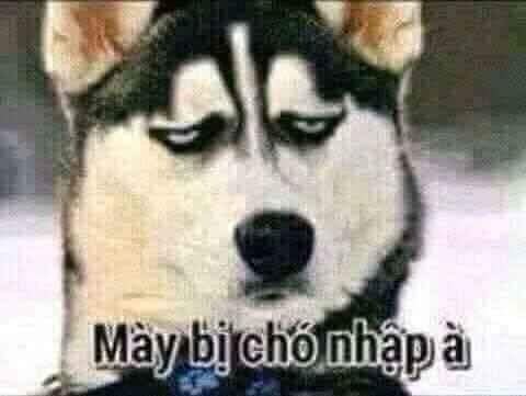 meme chửi nhau