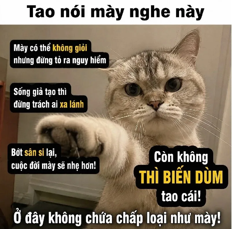 meme chửi nhau