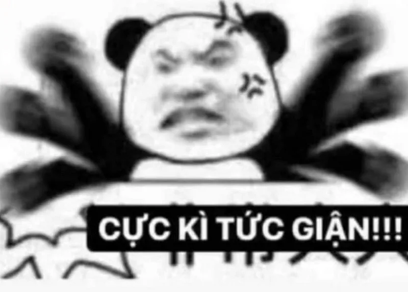 ảnh meme chửi