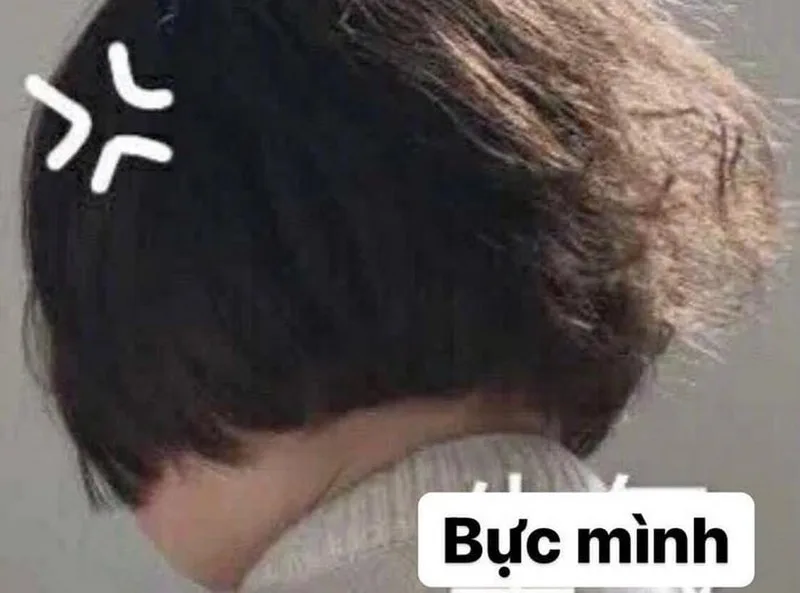 ảnh meme chửi