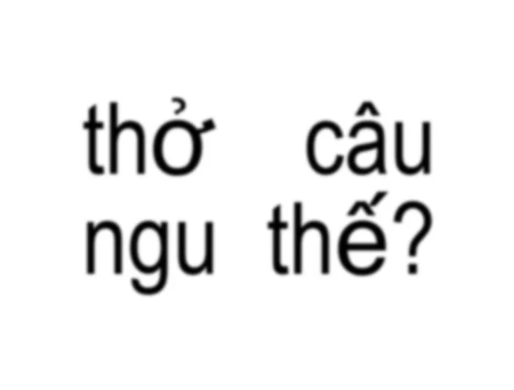 meme chửi người ngu