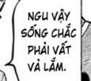 meme chửi người ngu