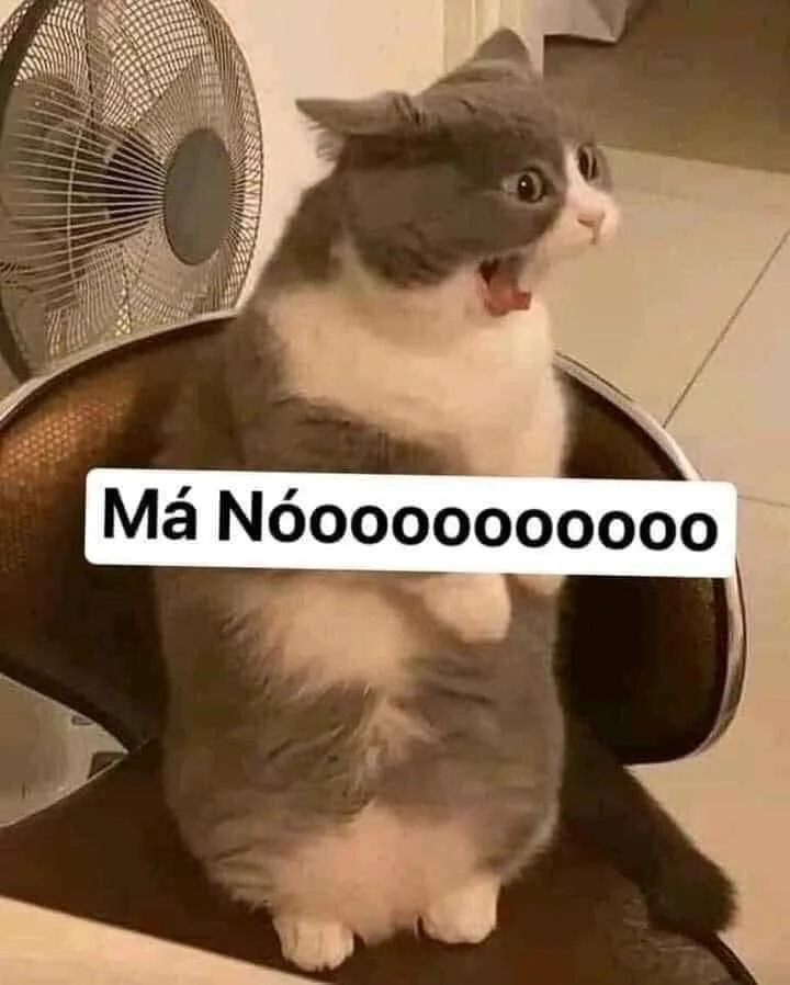 meme chửi nhau