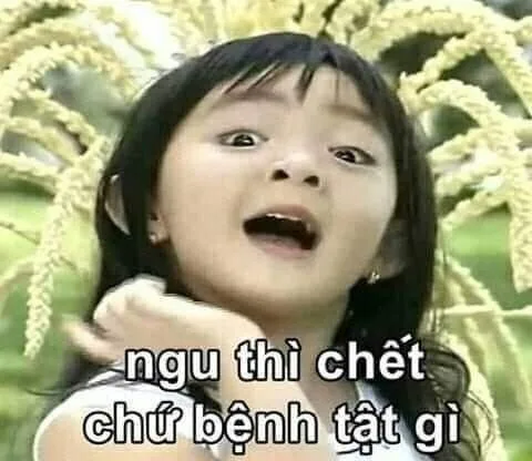 meme chửi người ngu