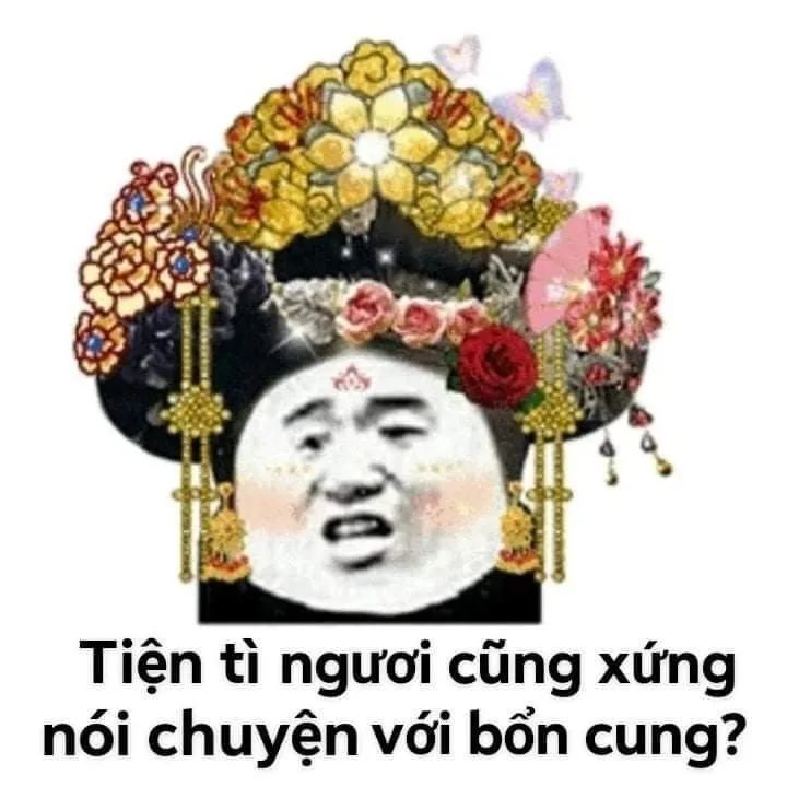 hình ảnh chửi khéo