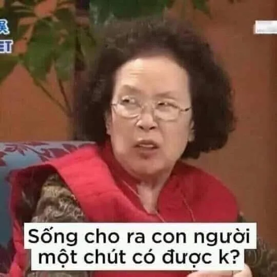 hình ảnh chửi khéo