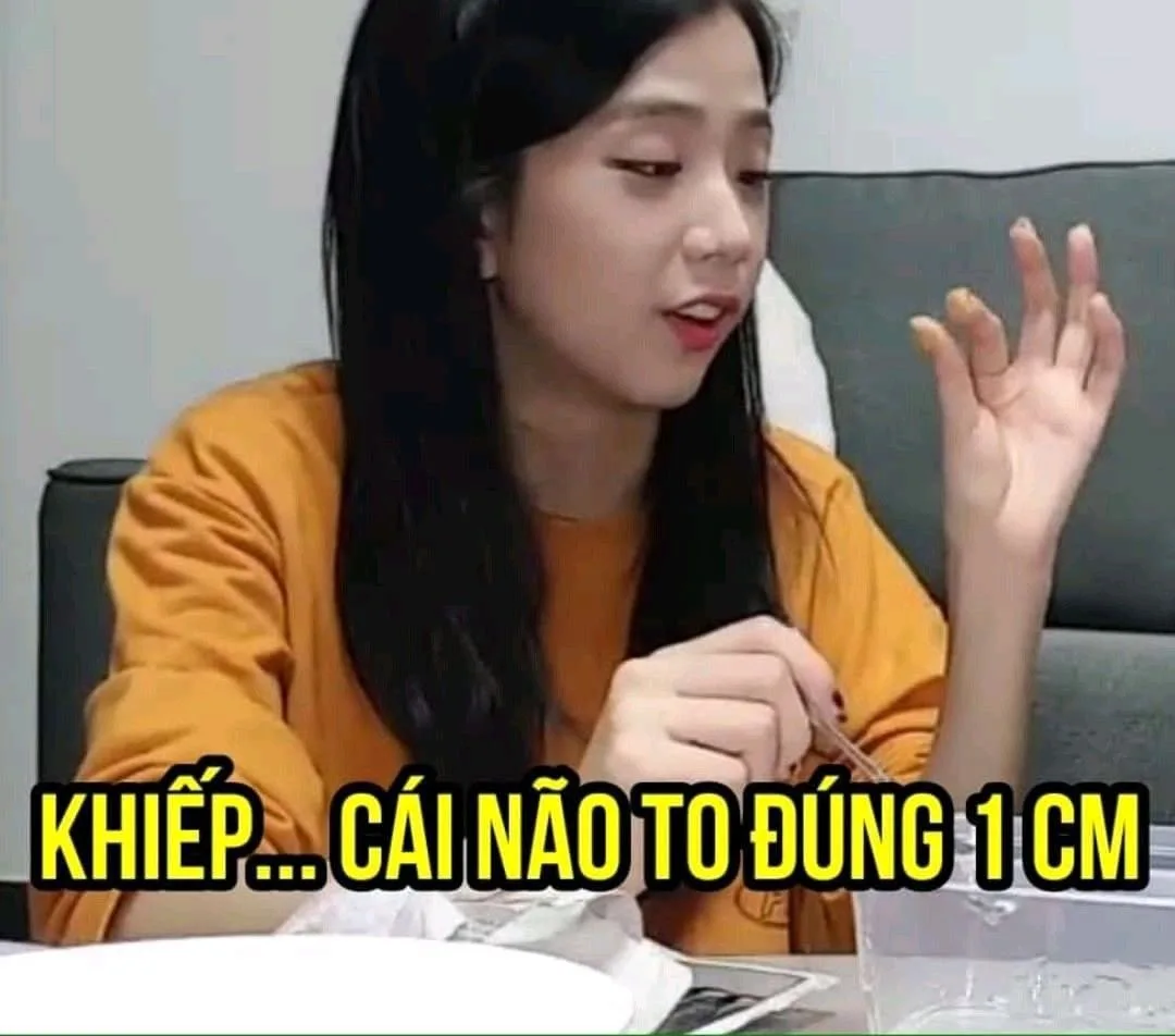 meme chửi người ngu