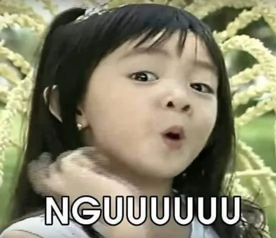 meme chửi người ngu