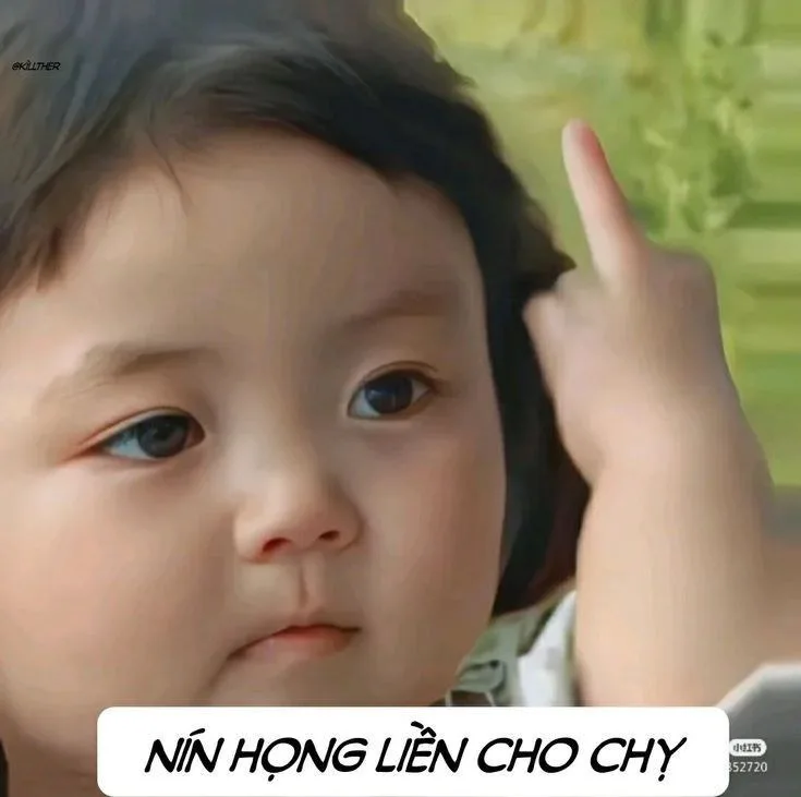 meme chửi nhau