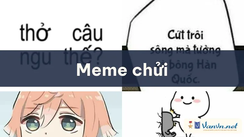 meme chửi