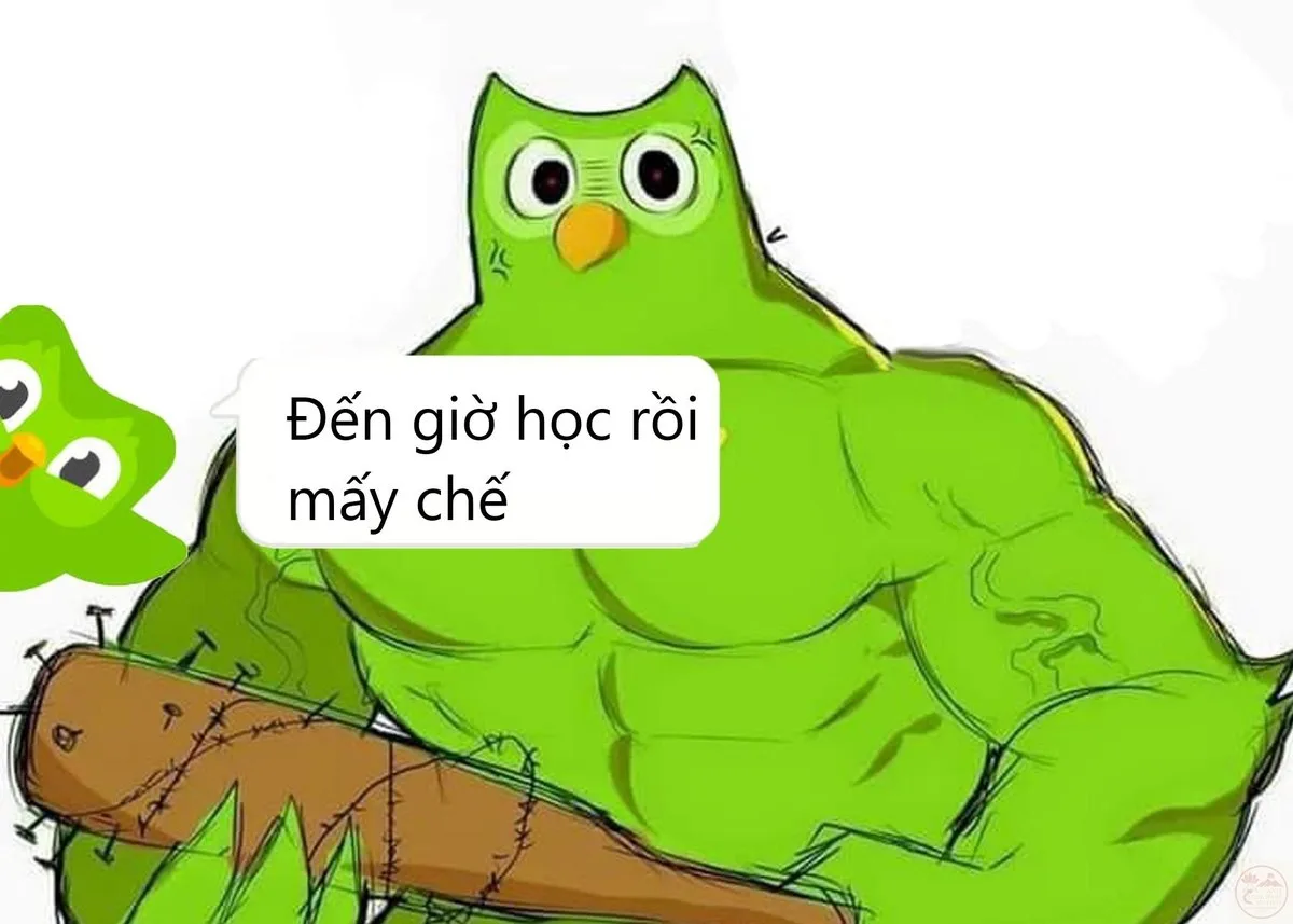 ảnh meme cơ bắp