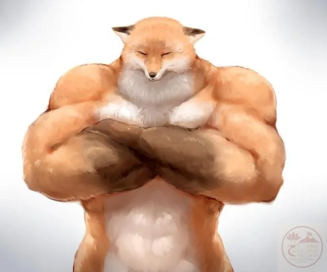 ảnh meme cơ bắp