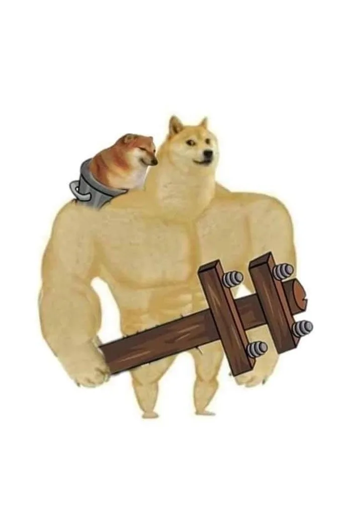 meme cơ bắp cheems