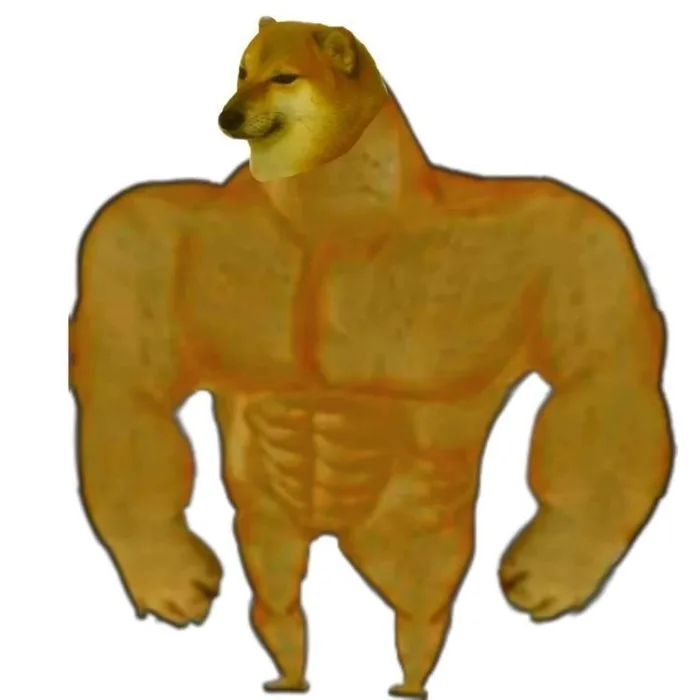 meme cơ bắp cheems