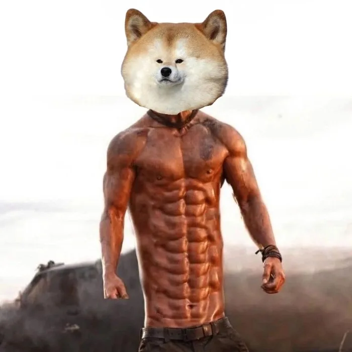 meme cơ bắp cheems