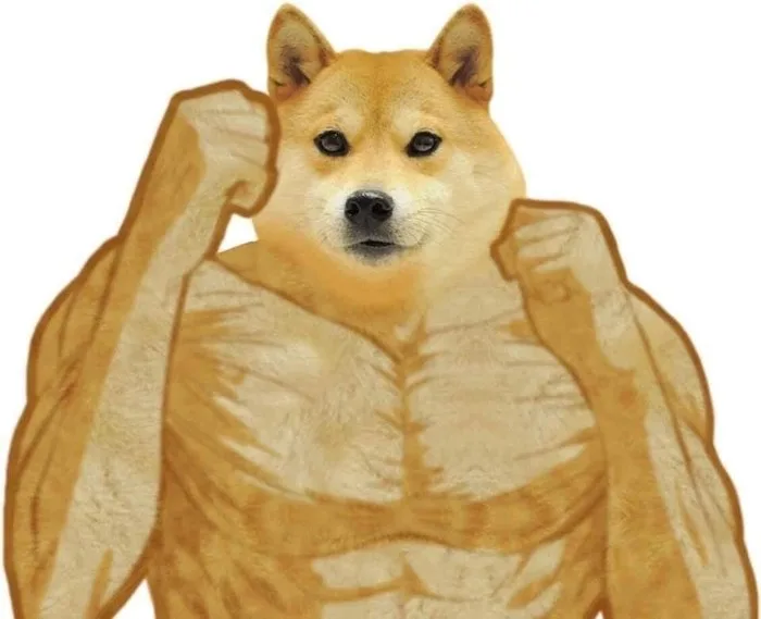 meme cơ bắp cheems