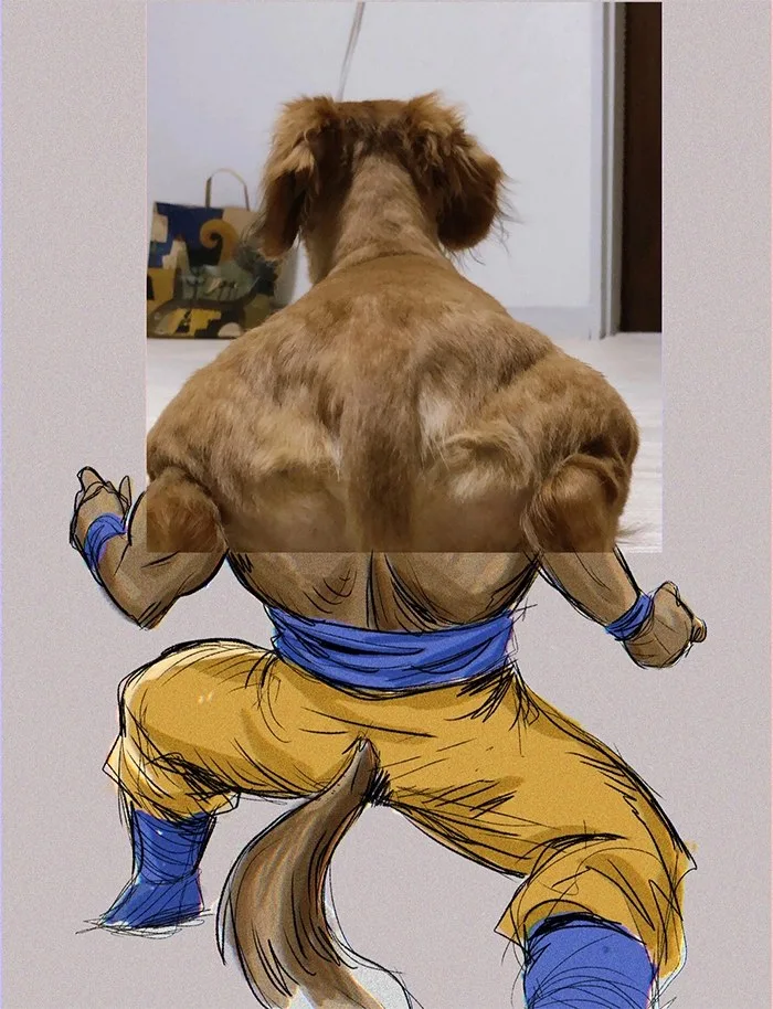 meme cơ bắp chó