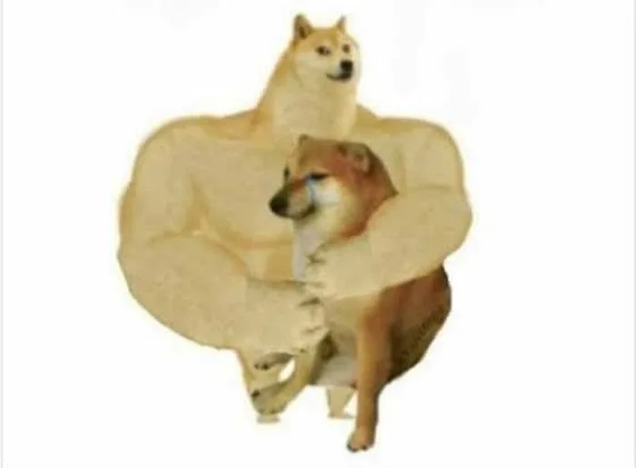 meme cơ bắp cheems