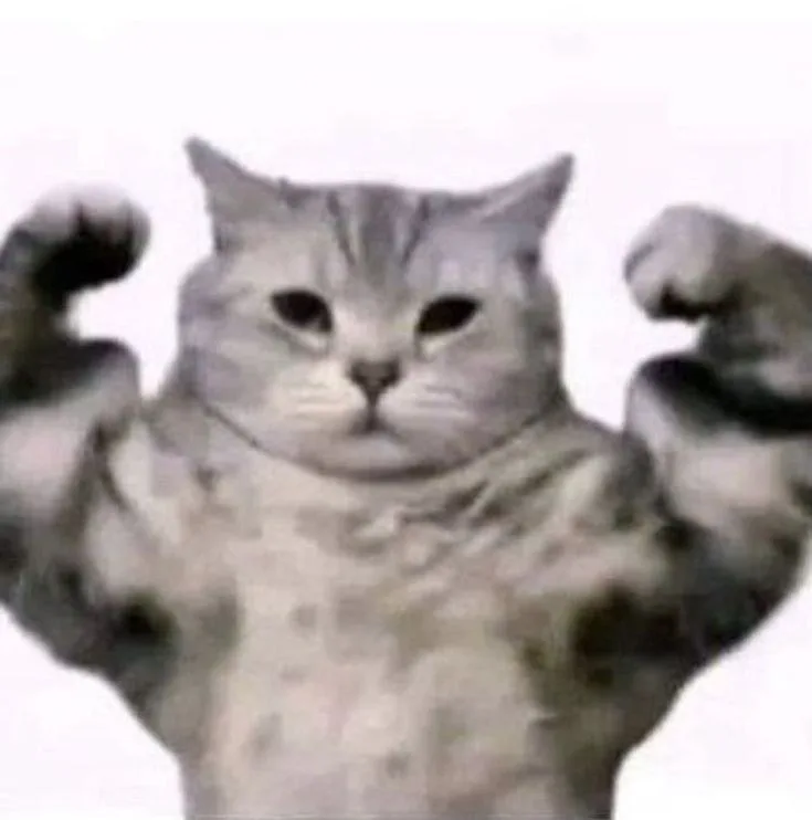 meme cơ bắp mèo hello kitty
