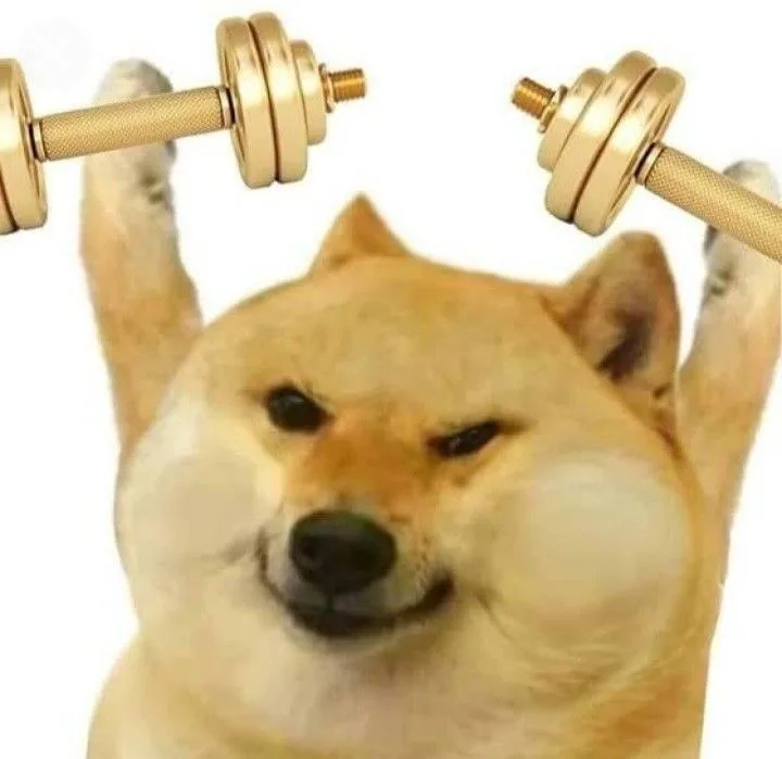 meme cơ bắp cheems