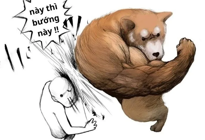 meme cơ bắp chó