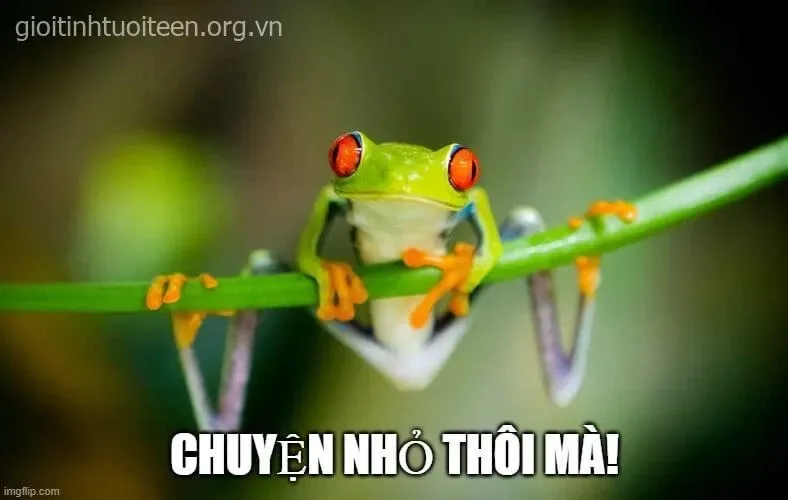 meme cố lên