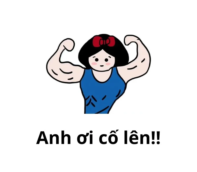 meme cố lên