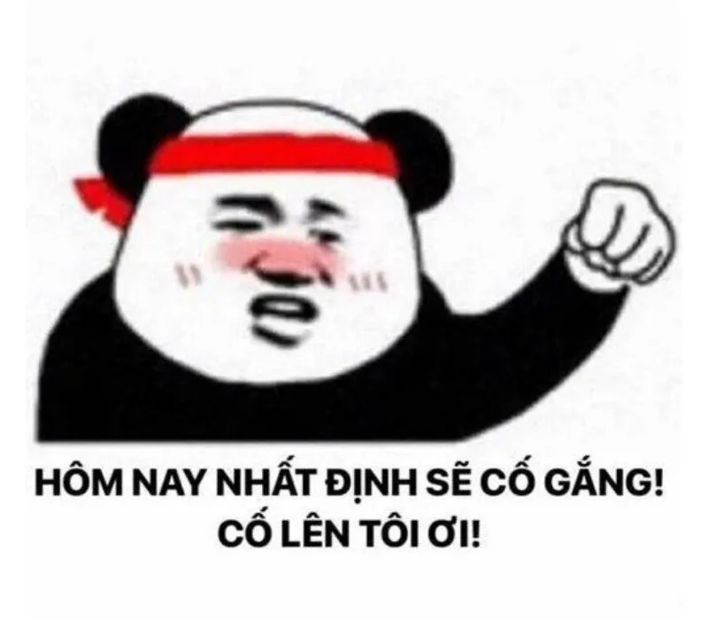 meme cố lên