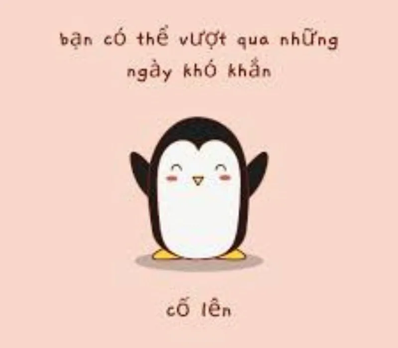 meme cố lên