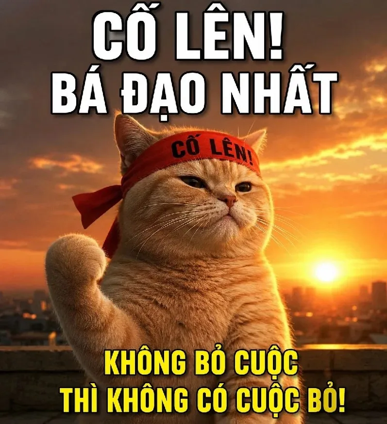meme cố lên