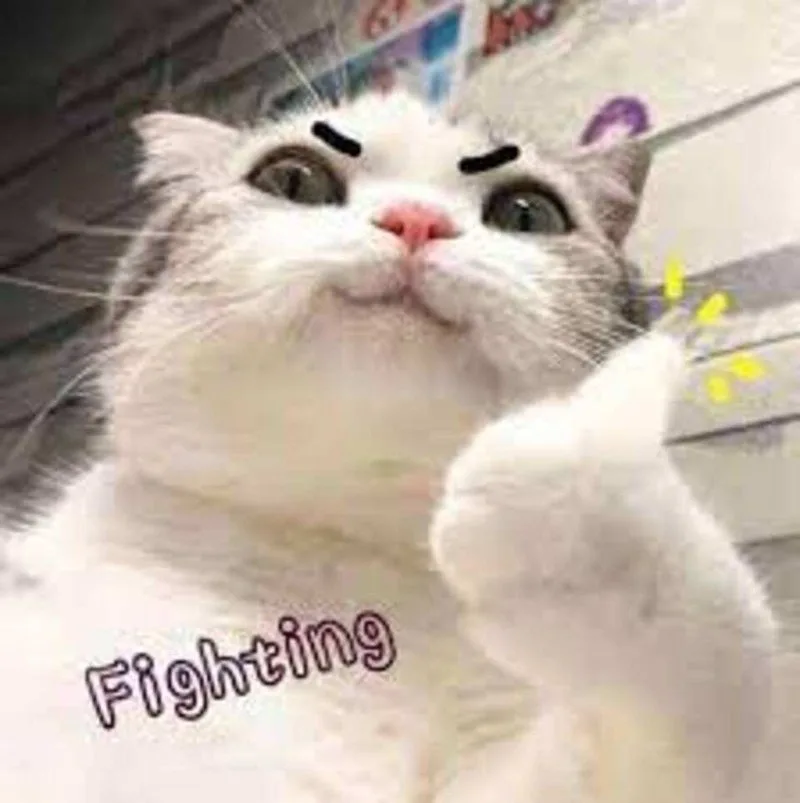 meme cố lên