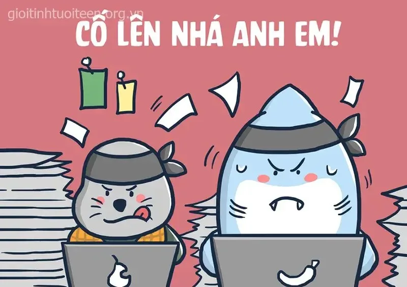 meme cố lên