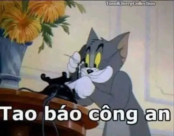 meme báo công an