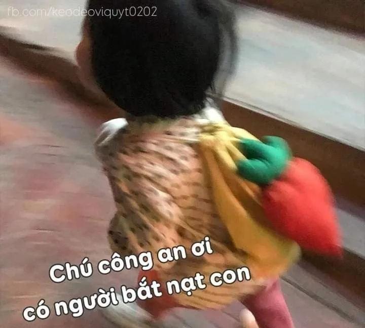 meme alo chú công an