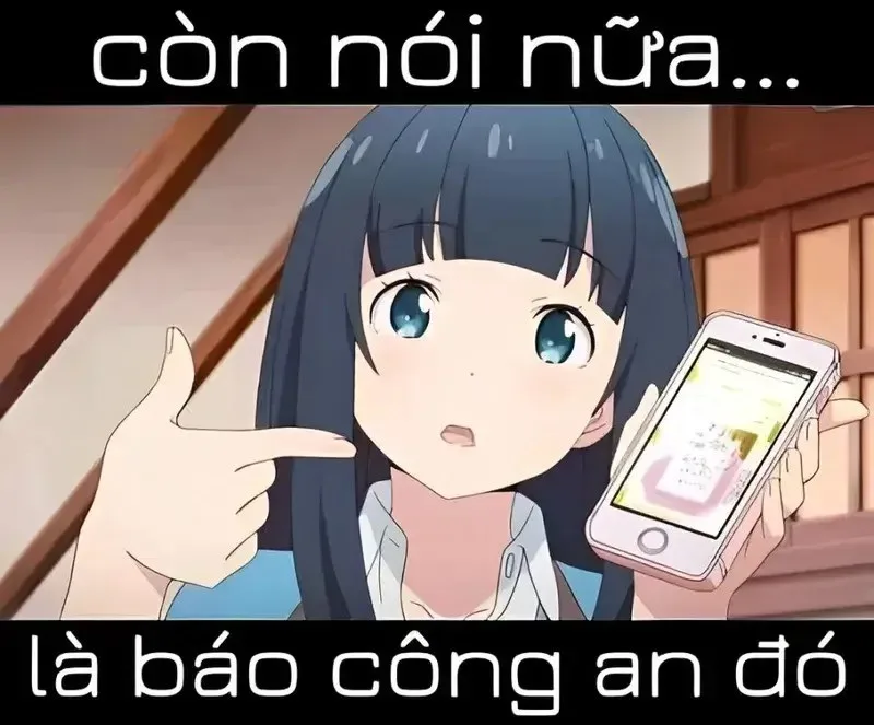 meme báo công an