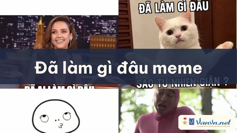 đã làm gì đâu meme