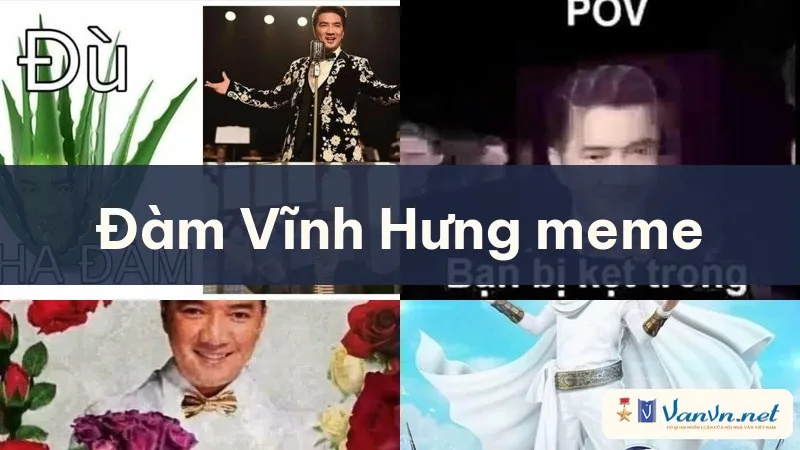 đàm vĩnh hưng meme