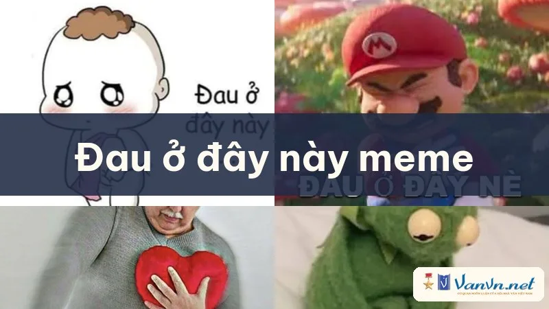 đau ở đây này meme