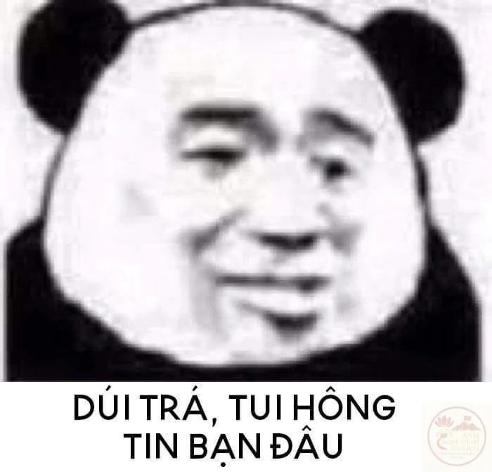 meme đéo tin
