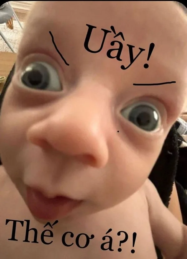 meme đéo tin
