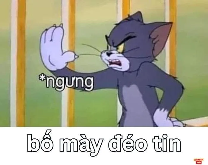 meme đéo tin