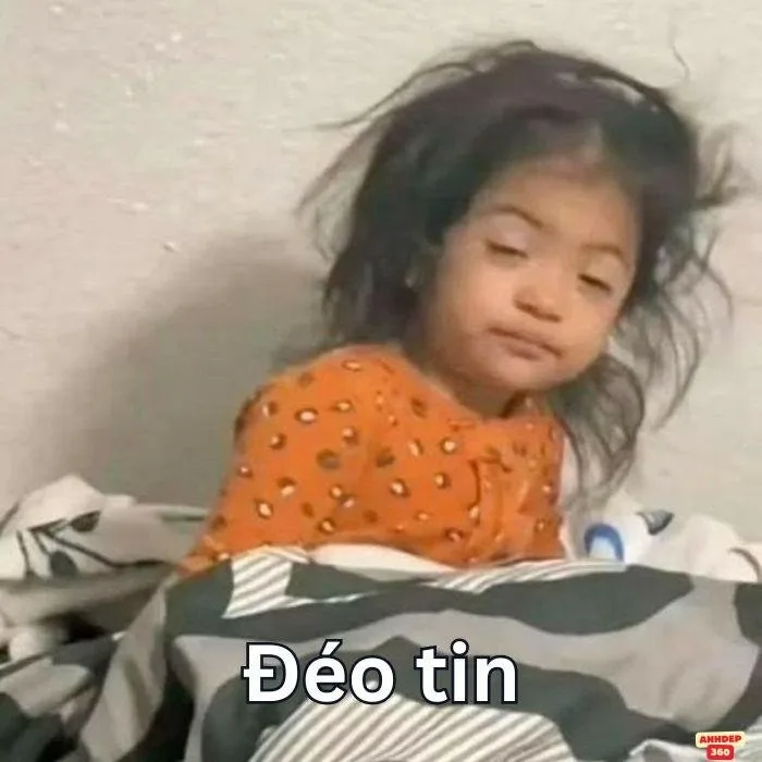 meme đéo tin