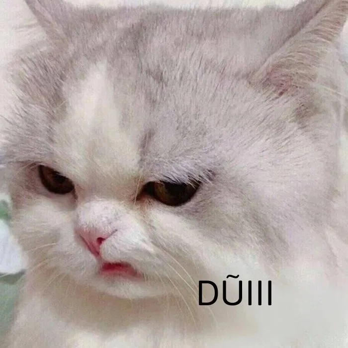meme động vật cute