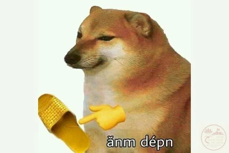 ảnh meme động vật